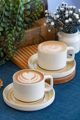 Jüpiter 4 Parça 2 Kişilik Porselen Büyük Çay Fincan Takımı - 2